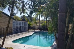 South Brisbane: Swimming Pool Landscaping
