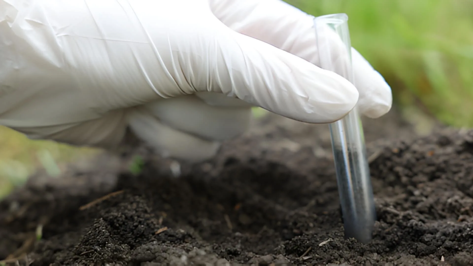 Drainage and Soil Testing